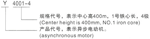 西安泰富西玛Y系列(H355-1000)高压苍南三相异步电机型号说明