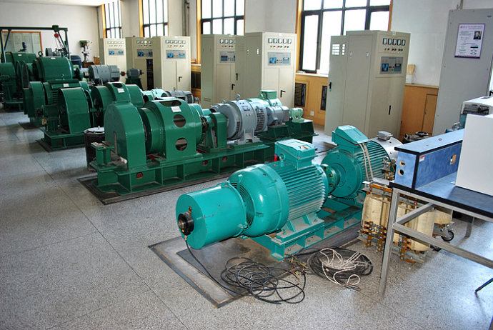 苍南某热电厂使用我厂的YKK高压电机提供动力