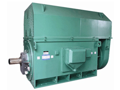 苍南Y系列6KV高压电机生产厂家